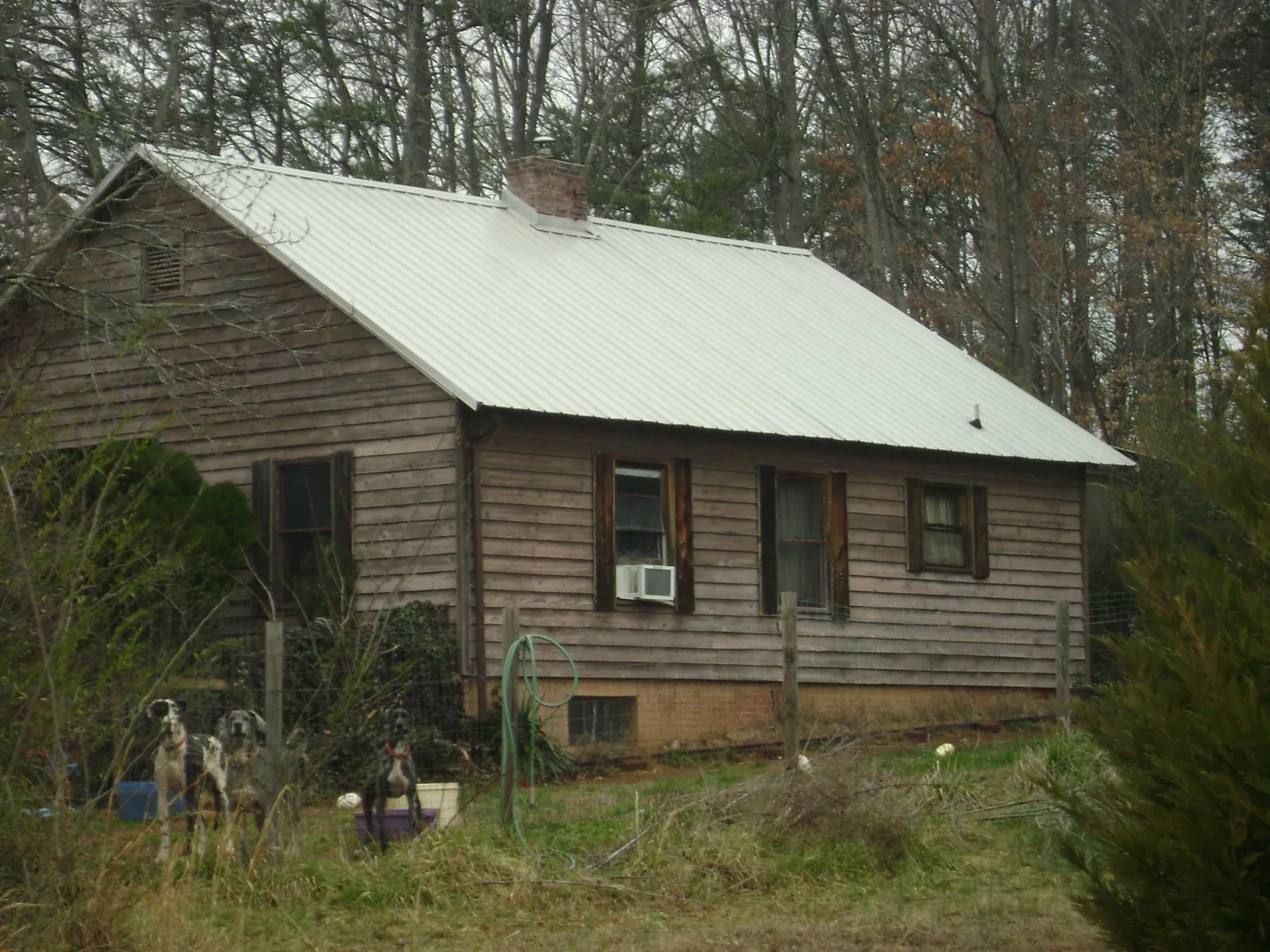 White metal roof on an old wood sided farmhouse, from a Asphalt Shingle Roof Repair job in Savage